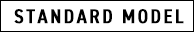 STANDARD MODEL